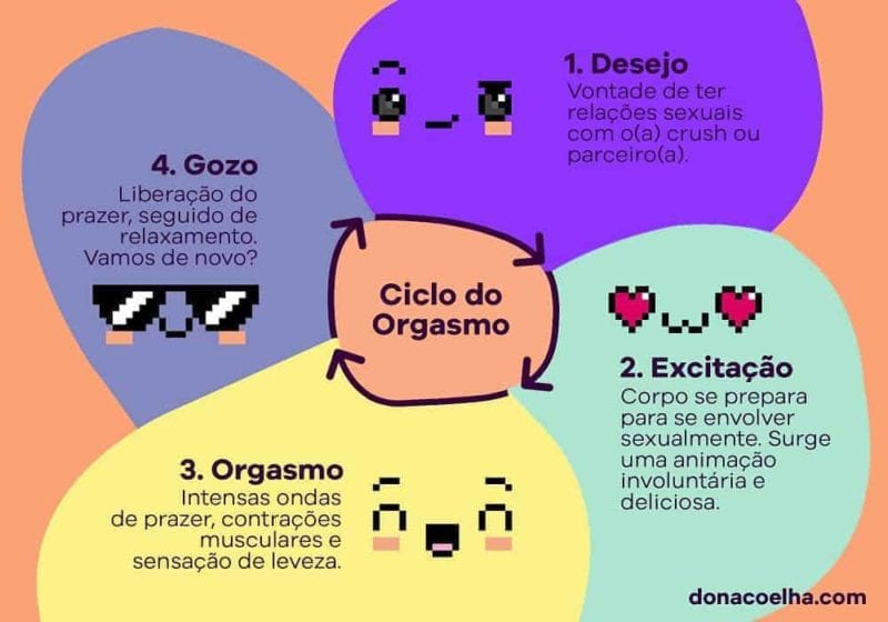 fases ciclo como chegar ao orgasmo