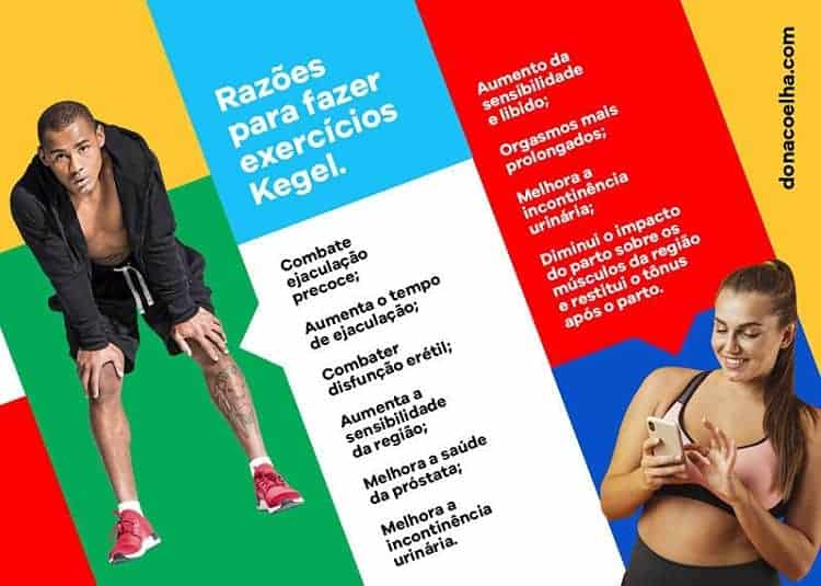 exercícios kegel benefícios dona coelha 
