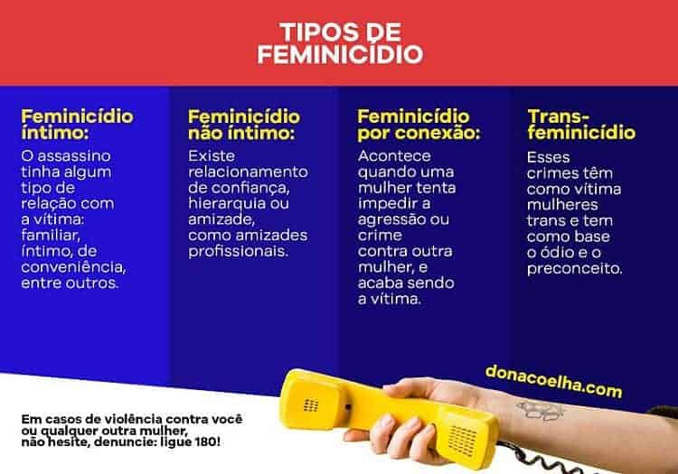 tipos de feminicídio dona coelha 