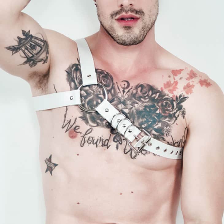 harness-gladiador