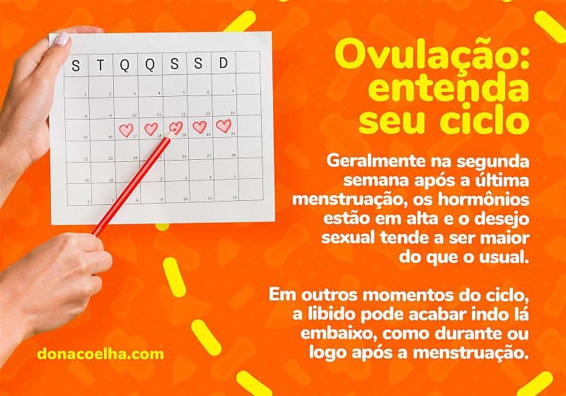 ciclo da ovulação