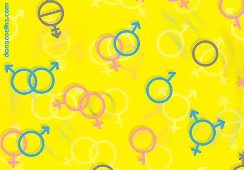 Sexualidade fluida dona coelha sex shop 1 Sexualidade fluida: entenda o que é e como acontece! 