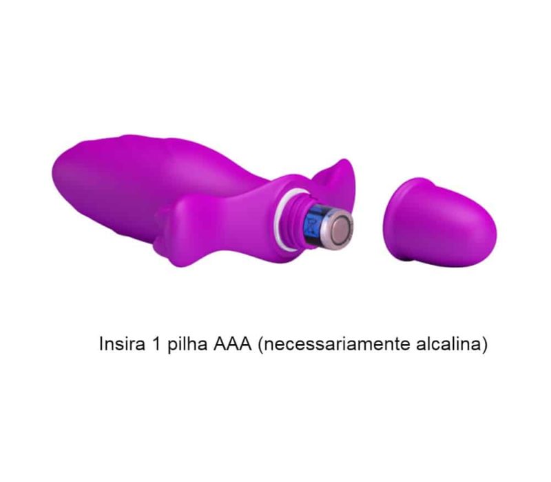 fitch plug anal