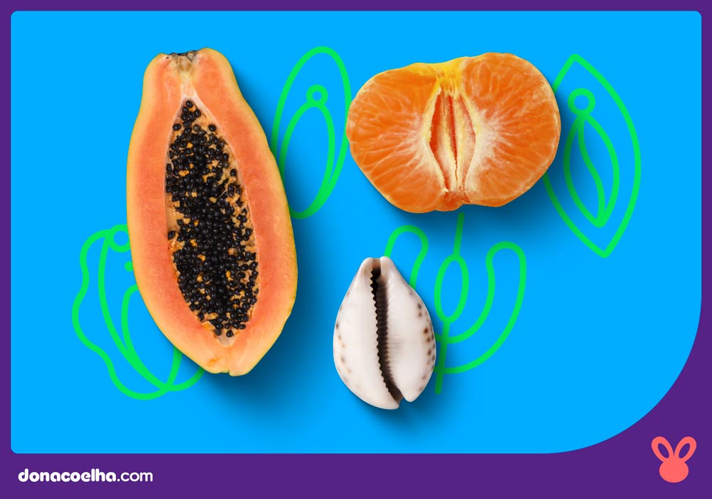 TiposVulva1 Tipos de Vagina: você conhece cada um delas? Entenda!