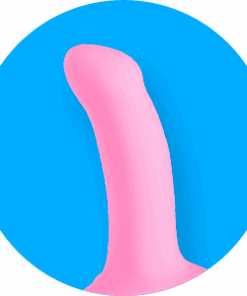 Dildo e Pênis